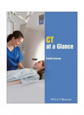 CT At a Glance Paperback