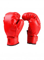Boxing Gloves 25* 23* 8centimeter