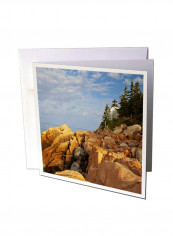 6-Piece Printed Greeting Card Set Brown/Blue/Green