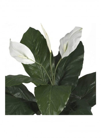 Silk Spathyfillum Flower With Pot Green/White