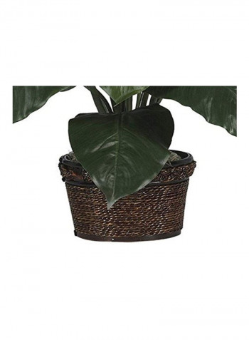 Silk Spathyfillum Flower With Pot Green/White
