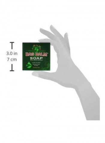 12-Pack Vermont's Original Bag Balm Soap 3.9ounce