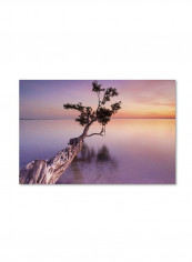 Water Tree Xi Canvas Wall Art Multicolour 16 x 24inch
