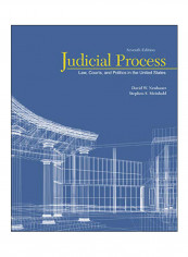 Judicial Process Paperback
