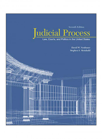 Judicial Process Paperback