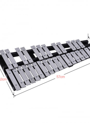 Silver Stylish 30 Notes Glockenspie