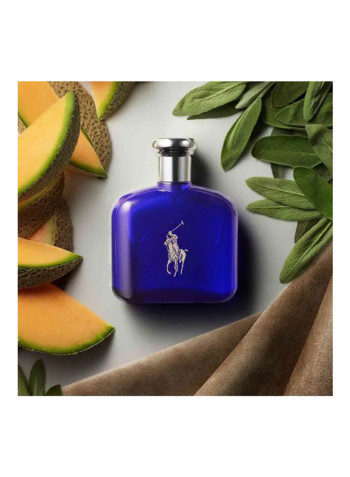 زجاجة عطر بولو بلو 1 200مل