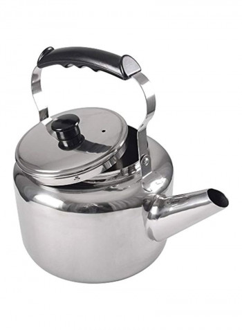 Stainless Steel Tea Kettle Silver 11x8x7.8inch