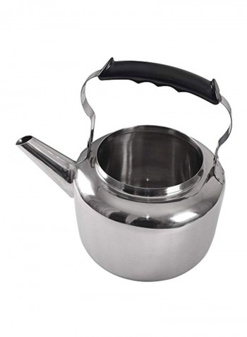 Stainless Steel Tea Kettle Silver 11x8x7.8inch