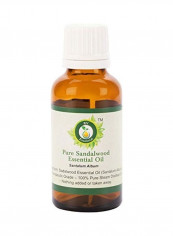 Sandalwood Essential Oil Santalum Album 50ml reviews Sandalwood Essential Oil Santalum Album 50ml