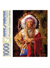 1000-Piece Jigsaw Puzzle Set
