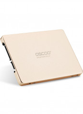 OSCOO SATA III Disk for PC Laptop Desktop 256GB Gold