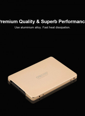 OSCOO SATA III Disk for PC Laptop Desktop 256GB Gold
