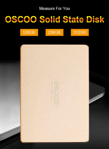 OSCOO SATA III Disk for PC Laptop Desktop 256GB Gold