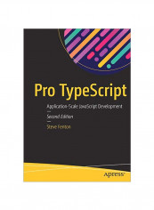 Pro Typescript: Application-Scale Javascript Development Paperback 2