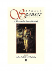 A View Of The State Of Ireland Paperback