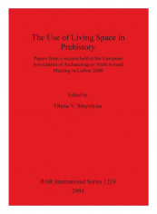 The Use Of Living Space In Prehistory Paperback