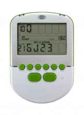 Radica Handheld Game