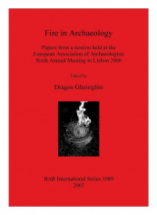 Fire In Archaeology Paperback