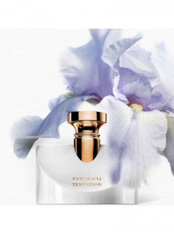 عطر سبلينديدا باتشولي تينتيشن EDP 100مل