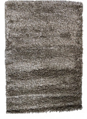 Modern Design Stylish Carpet 065 Light Brown 180x120centimeter