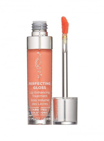 Perfecting Gloss Lip Enhancing Treatment Beach Blush