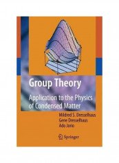 Group Theory: Application To The Physics Of Condensed Matter Hardcover English by Mildred S. Dresselhaus