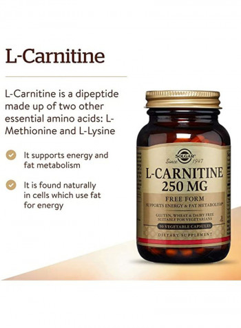 L-Carnitine - 90 Vegetable Capsules
