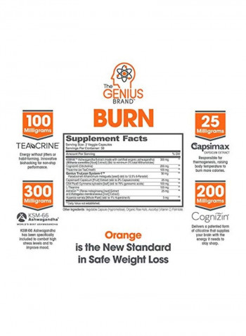 Genius Burn Smart Weight Management Plus Cognitive Performance - 60 Veggie Capsules