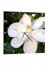 Magnolia Tree Printed Wall Clock White/Green 13 x 13inch