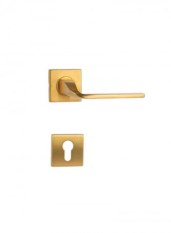 Stainless Steel Door Handle Gold 8millimeter