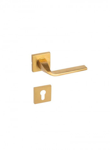 Stainless Steel Door Handle Gold 8millimeter