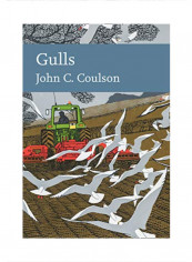 Gulls Hardcover 1