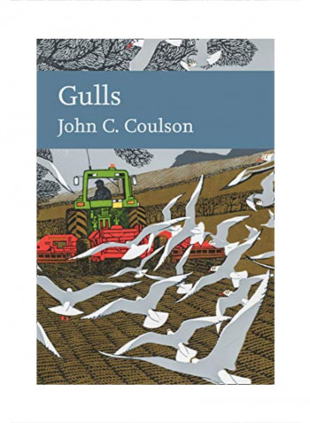 Gulls Hardcover 1