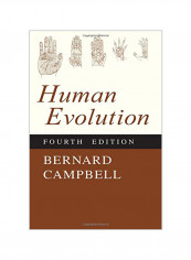 Human Evolution Paperback 4