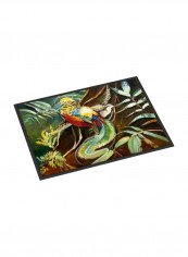Mandarin Pheasant Indoor/Outdoor Mat Multicolour 18 x 24inch