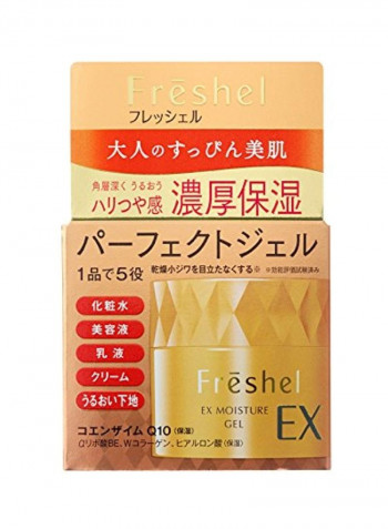 EX Moisture Gel 80g
