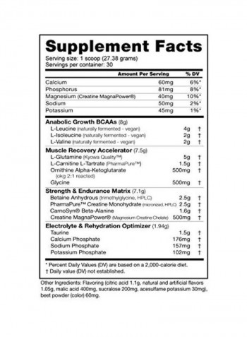 Reload Recovery Matrix Dietary Supplement - Kiwi Strawberry