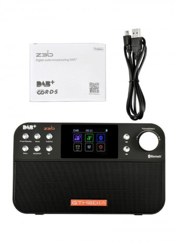 Portable DAB Radio DV2010 Black