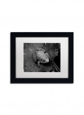 Northern Green Frog Wall Art Black 11 x 14inch reviews Northern Green Frog Wall Art Black 11 x 14inch