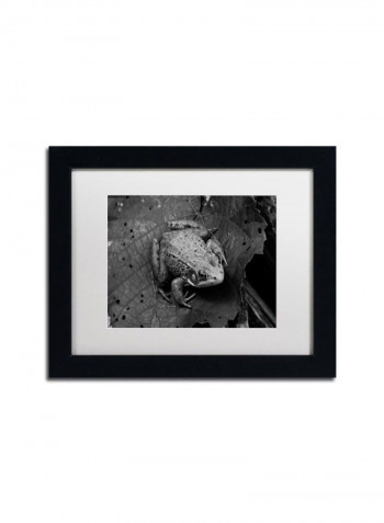 Northern Green Frog Wall Art Black 11 x 14inch