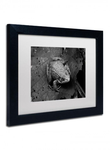 Northern Green Frog Wall Art Black 11 x 14inch