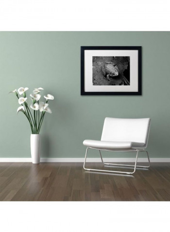 Northern Green Frog Wall Art Black 11 x 14inch
