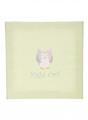 Night Owl Wall Art Green/Grey 9.7x9x2inch