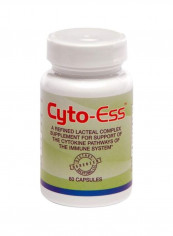 Cyto-Ess  Immune Modulator  Dietary Supplement - 60 Capsules