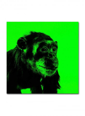 Chimp Canvas Wall Art Green/Black 14 x 14inch