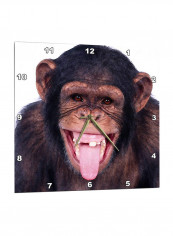 Laughing Monkey Printed Wall Clock Multicolour 13 x 13inch