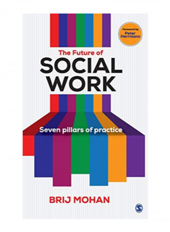 The Future Of Social Work Hardcover