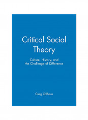 Critical Social Theory: Culture, History, and the Challenge of Difference Paperback