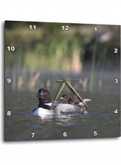 Mother And Baby Duck Wall Clock Multicolour 10x10inch